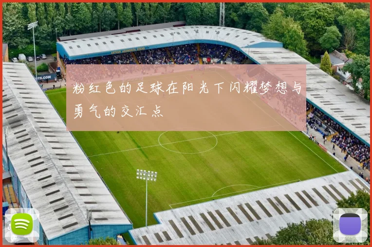 粉红色的足球在阳光下闪耀梦想与勇气的交汇点