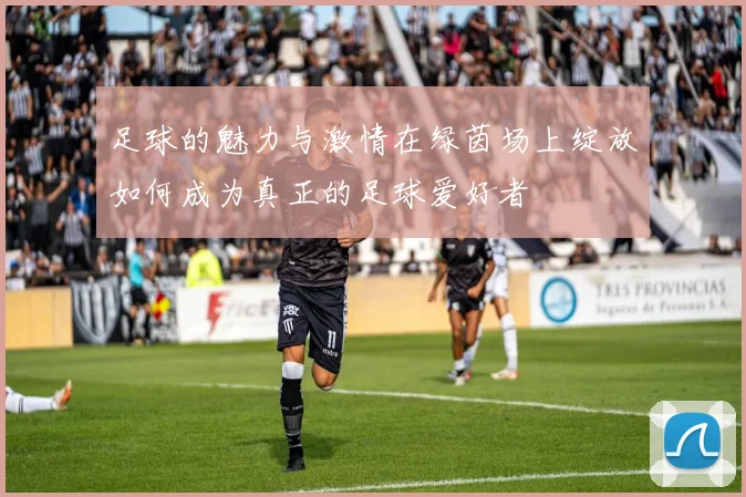 足球的魅力与激情在绿茵场上绽放如何成为真正的足球爱好者