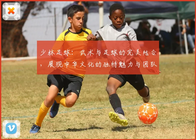少林足球：武术与足球的完美结合，展现中华文化的独特魅力与团队精神