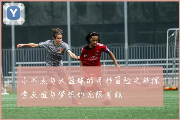 小不点与大篮球的奇妙冒险之旅探索友谊与梦想的无限可能