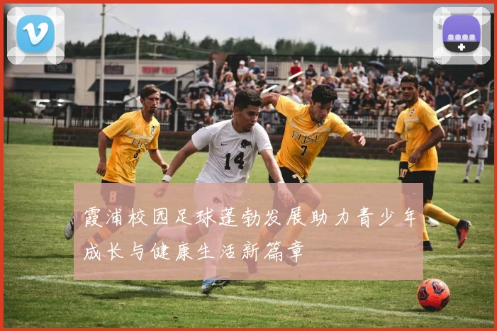 霞浦校园足球蓬勃发展助力青少年成长与健康生活新篇章
