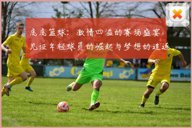 虎虎篮球：激情四溢的赛场盛宴，见证年轻球员的崛起与梦想的追逐