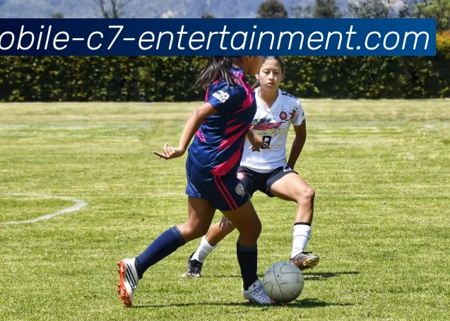 c7娱乐官网发展历程